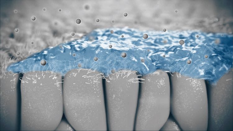 Magnified graphic image of irritants and pollutants inside the nose