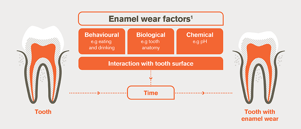 Enamel wear factors
