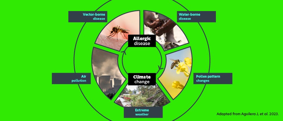Circular diagram highlighting 5 factors related to climate change that can impact allergens and health: air pollution, vector-borne diseases, water-borne diseases, pollen pattern changes, and extreme weather