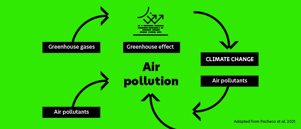 Diagram showing an air pollution cycle: greenhouse gases and air pollution contribute to the greenhouse effect which impacts climate change, which in turn causes more air pollution