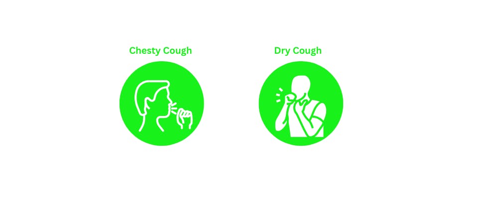 Chesty cough and dry cough icon