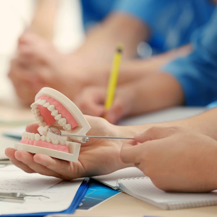Dental learning lab