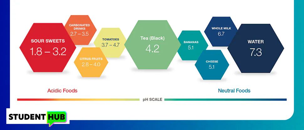 PH scale showing levels of food/drink