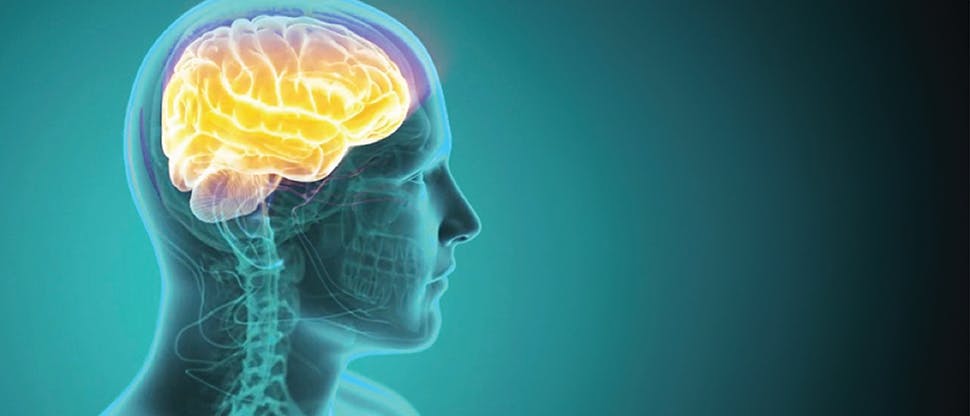 Centrum_Silver_Cognitive_Aging