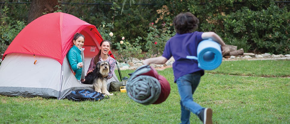 Family camping with dog