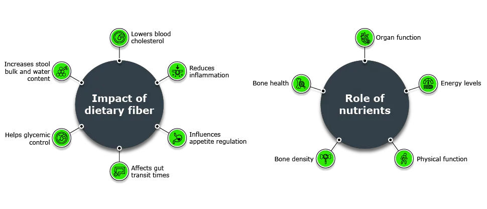 Two circular diagrams list impacts of dietary fiber and role of nutrients. Dietary fiber benefits include cholesterol reduction, improved gut transit, glycemic control, and reduced inflammation. Nutrient roles include supporting organ function, energy levels, physical function, and bone health