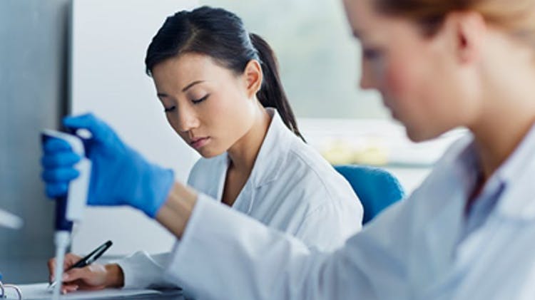 Dental students in a laboratory