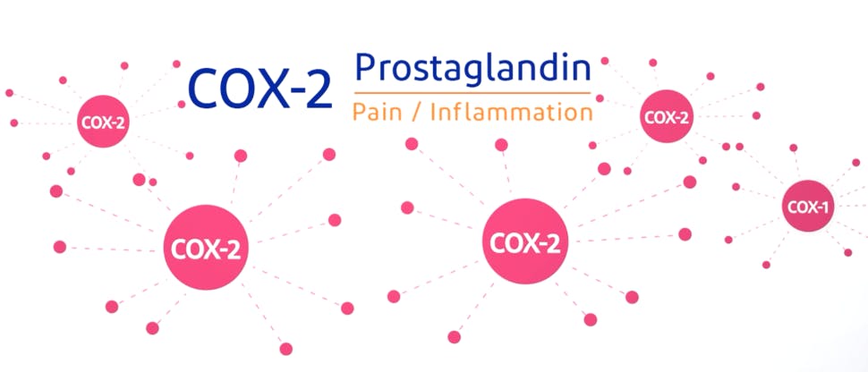 Prostaglandins and inflammatory reaction