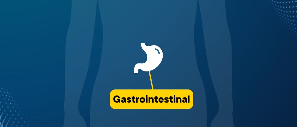 Image to show the gastrointestinal system