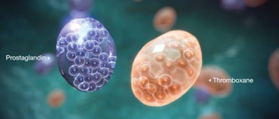 Prostaglandins and inflammatory reaction