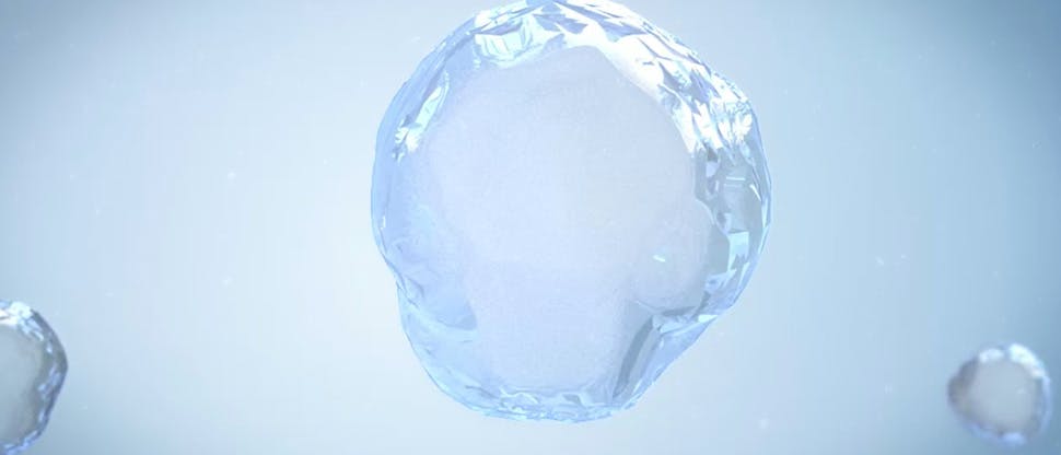 Stannous fluoride at work