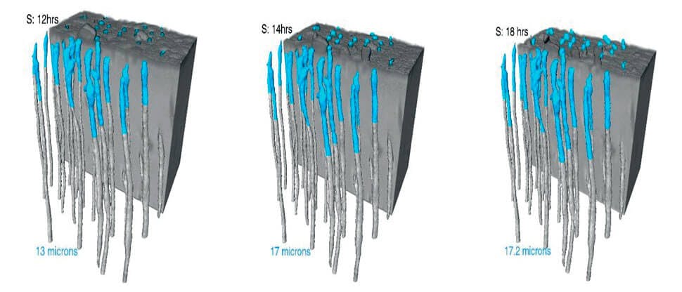 in vitro synchrotron data visualization image