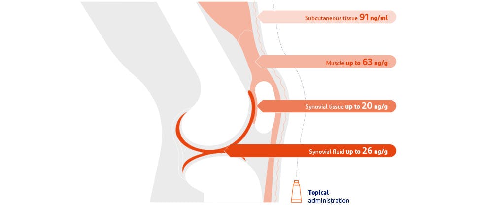 Diagram showing the concentrations of diclofenac reaching the various tissues beneath the skin of the knee following topical application3