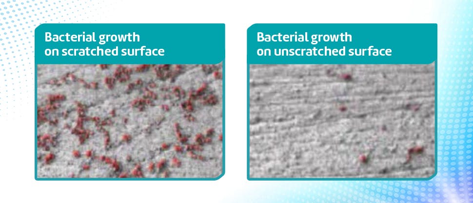 Images showing higher bacterial growth on scratched denture surface compared to unscratched surface