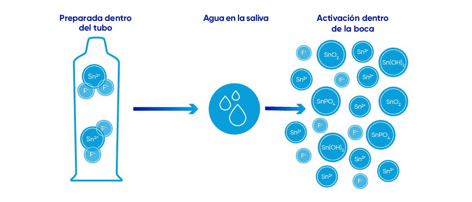 Ejemplo de cómo funciona el fluoruro de estaño cuando está en la cavidad oral/boca