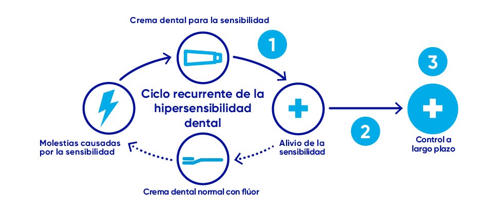 Ciclo de recurrencia de la hipersensibilidad dental y objetivos de manejo