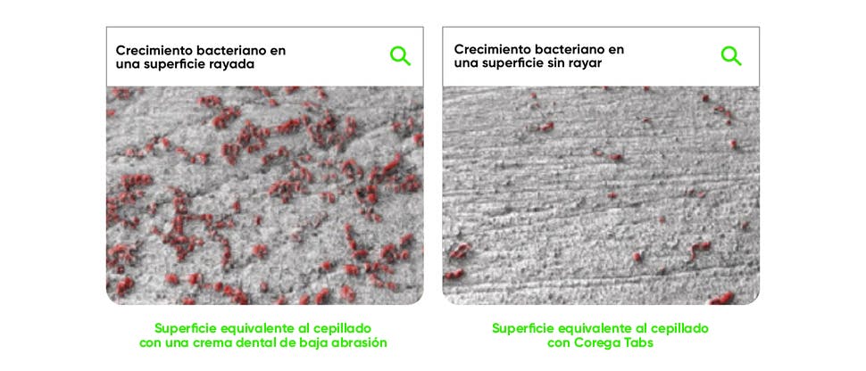 Imágenes que muestran mayor crecimiento bacteriano en la prótesis dental rayada comparado con la no rayada