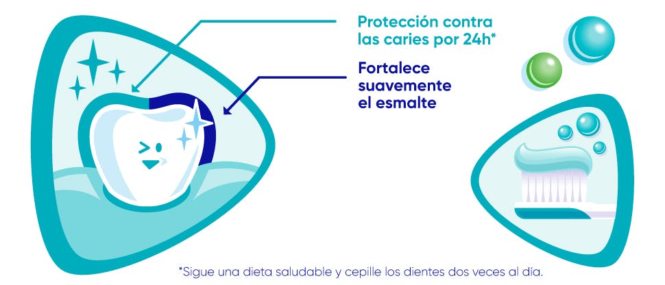 Gráfico que muestra los beneficios de protección del esmalte de Pro-Esmalte para Niños.