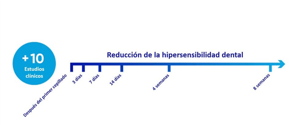 Timeline de 8 semanas para reducir la hipersensibilidad dental al usar la crema dental Sensodyne Rápido Alivio