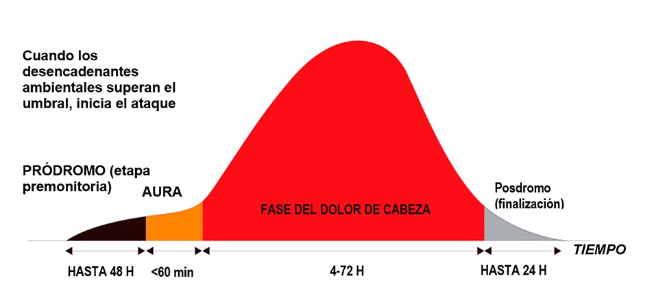 Las cuatro fases de la migraña