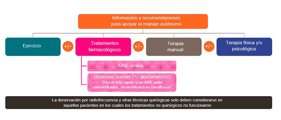 Gráfico que resume la vía de tratamiento del dolor de espalda