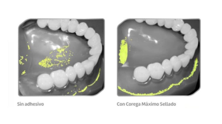 Ciencia Corega