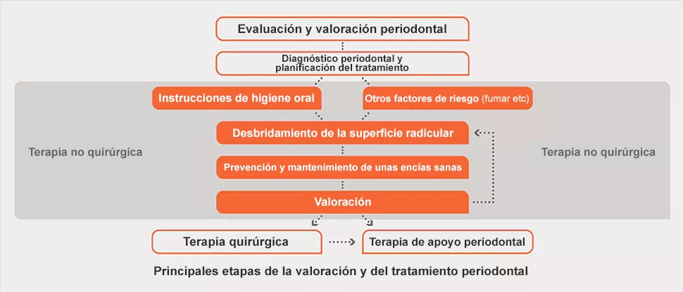 Evaluación periodontal y gráfico de tratamiento