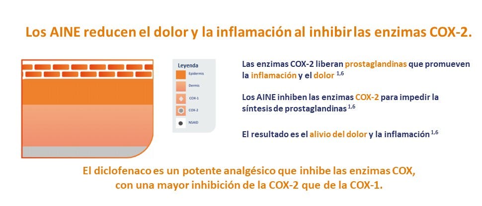 Cómo el diclofenaco reduce la inflamación.