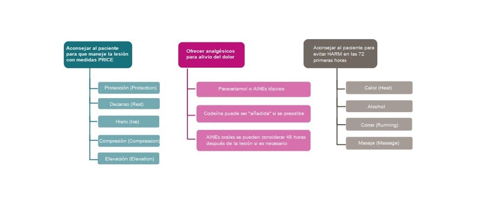 Resumen de las orientaciones del NICE sobre el tratamiento de esguinces y torceduras