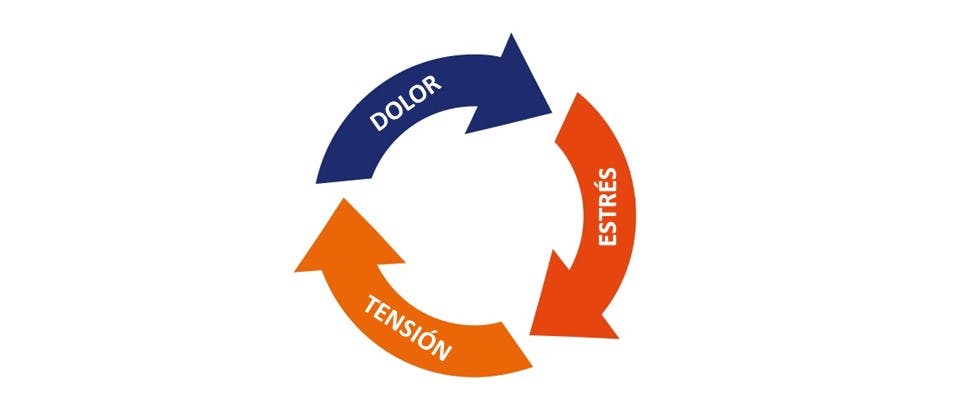 Gráfico que representa el ciclo de dolor, tensión y estrés que se produce con el dolor de espalda