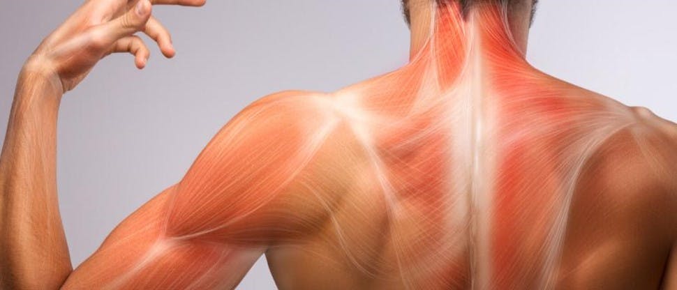 Persona mostrando espalda