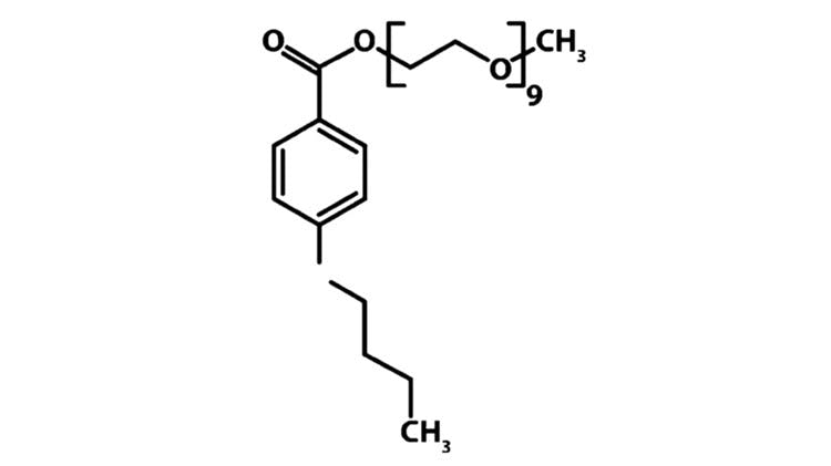 Mólecula Benzonatato