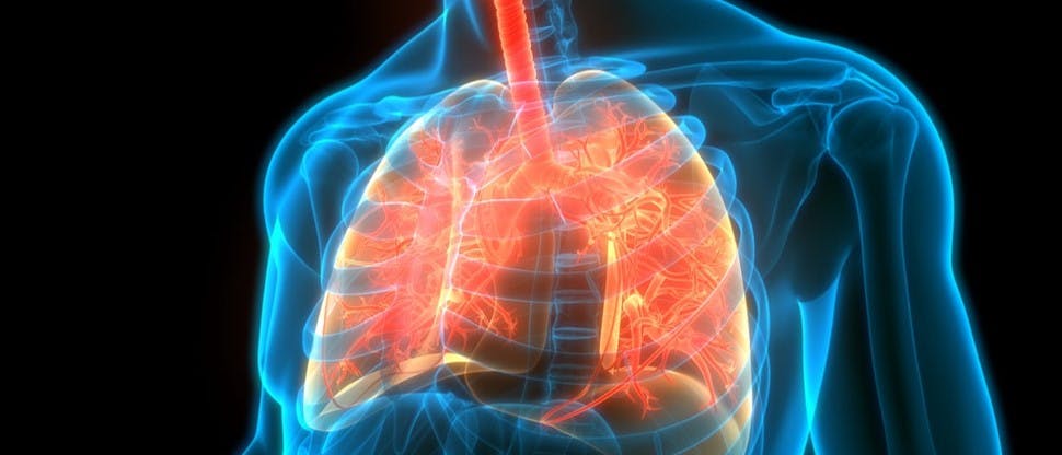 Imagen pulmones con fondo negro