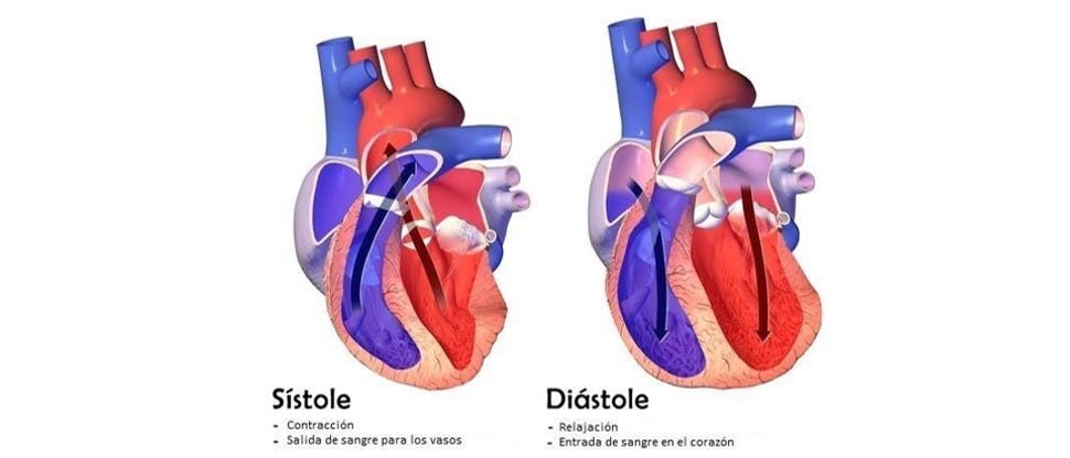 Imagen presión sistólica y diastólica