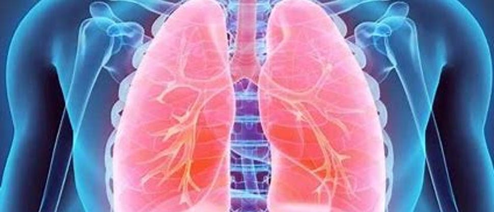 Imagen pulmones fondo azul