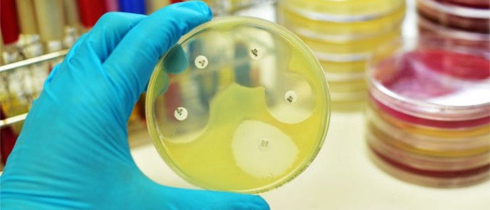 Foto persona sosteniendo muestra de laboratorio