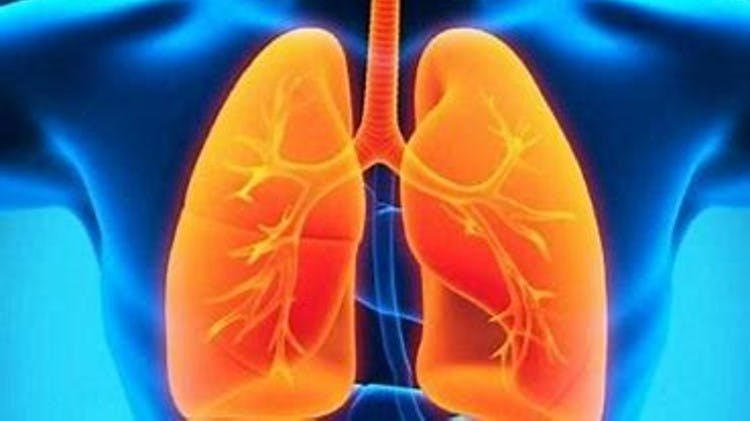 Imagen pulmones con fondo azul