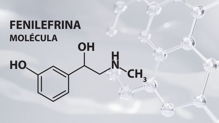 Mólecula fenilefrina