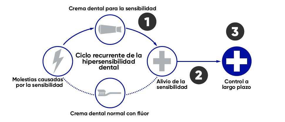 Ciclo de la hipersensibilidad dental y objetivo de tratamiento