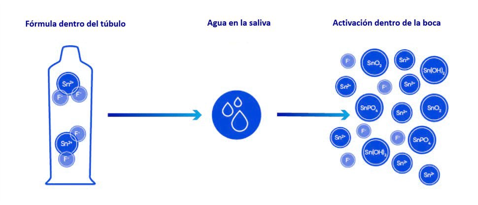 Fórmula anhidra preparada para reaccionar en la boca