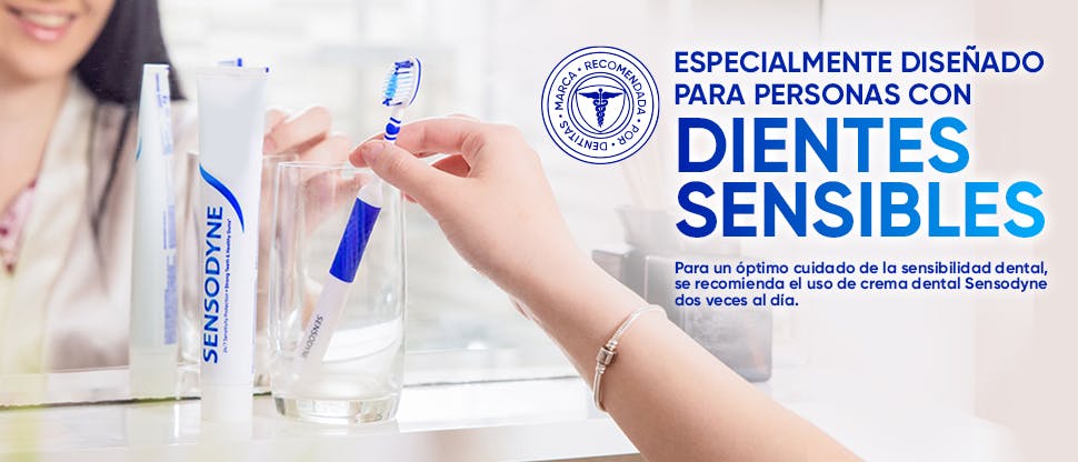 Persona sosteniendo cepillo