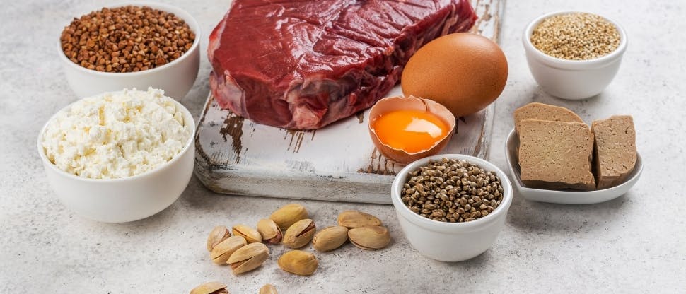 Carbohidratos y proteína