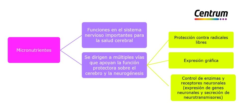 Esquema de micronutrientes