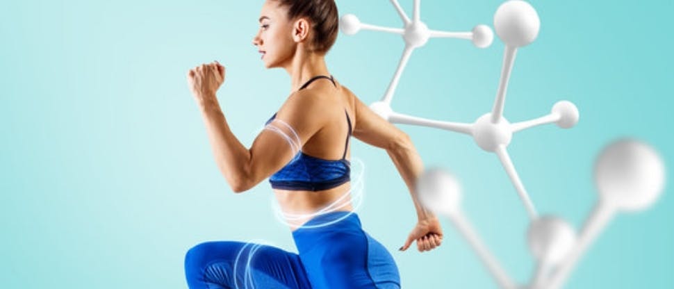 Metabolismo y energía