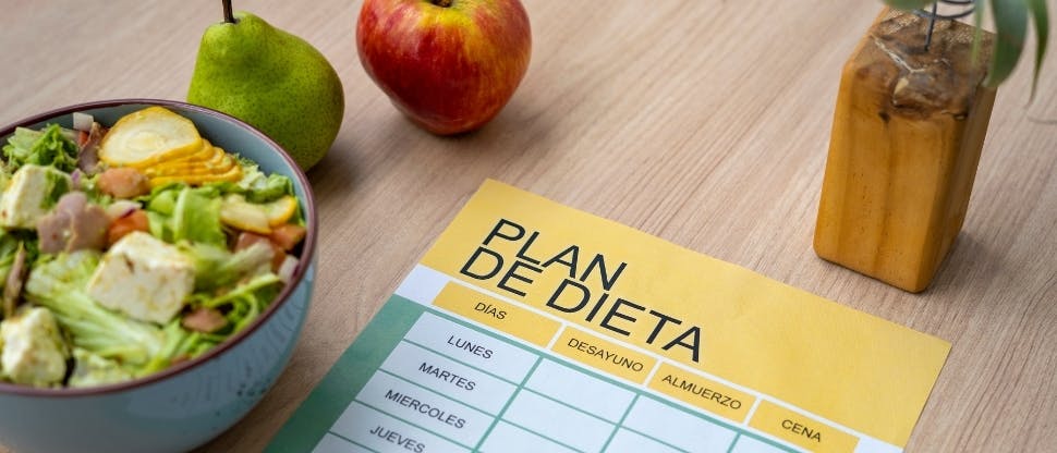 Plan de dieta
