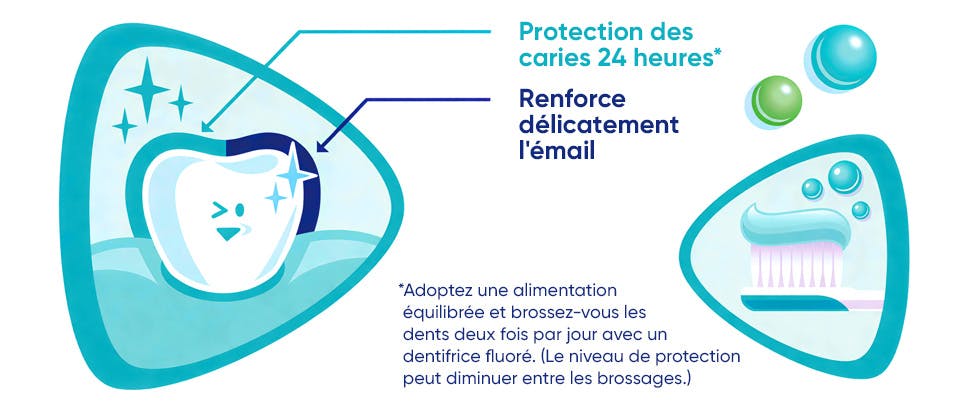 Graphique illustrant les bénéfices de protection de l’émail de Proglasur Kids