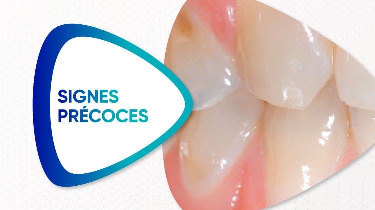 Expertise scientifique avec une femme scientifique