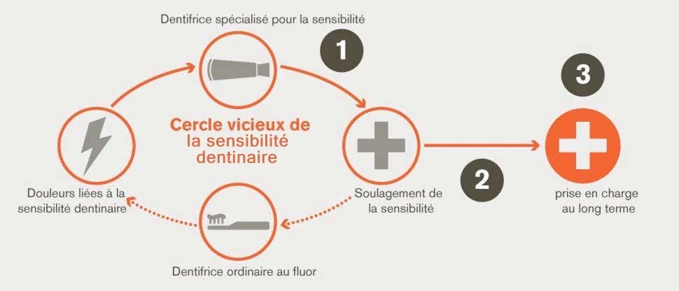 Le cycle de l’hypersensibilité dentinaire