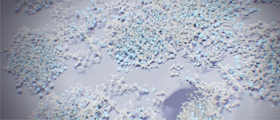 effet du fluorure d'étain