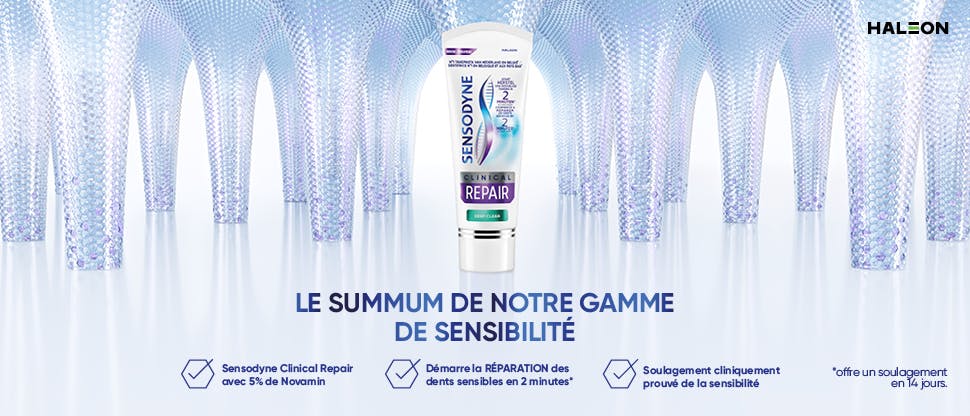 La bannière Sensodyne avec un tube construit avec des blocs de construction avec comme titre « le summum de notre gamme de